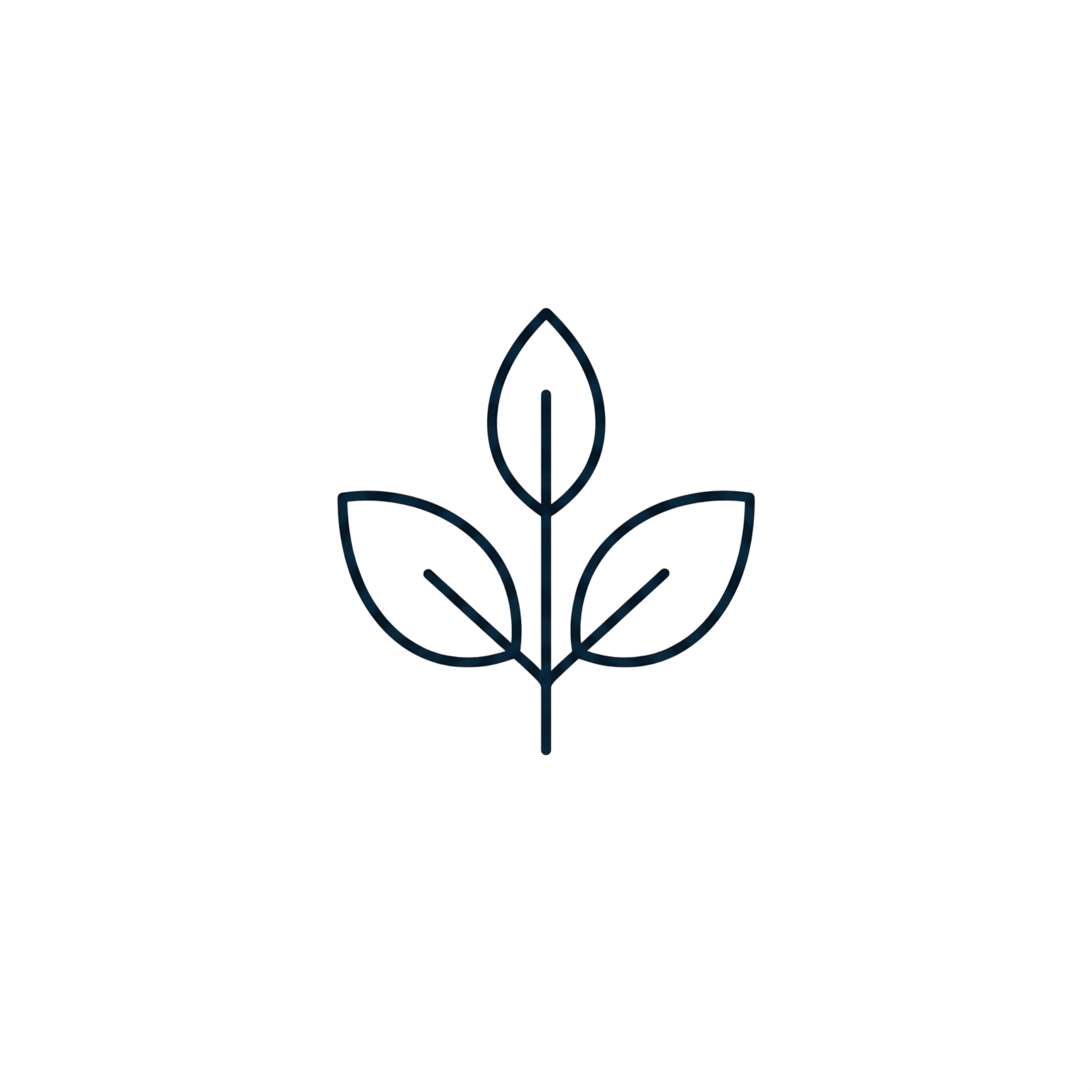 Premium Products Icon